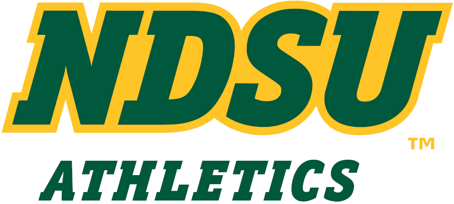 North Dakota State Bison 2012-Pres Wordmark Logo 01 iron on paper